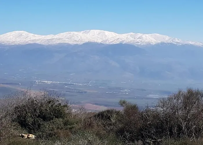קסם של אירוח
